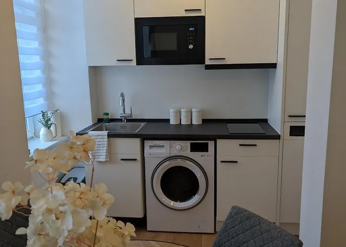 公寓 Flataid Prankergasse Direkt Beim Bahnhof 格拉茨